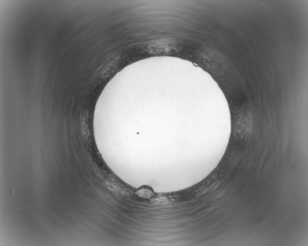 X0000053000616200508051136