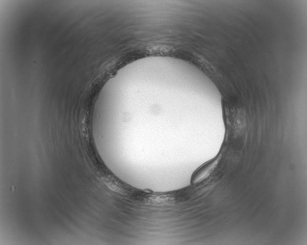 X0000053000619200508051136