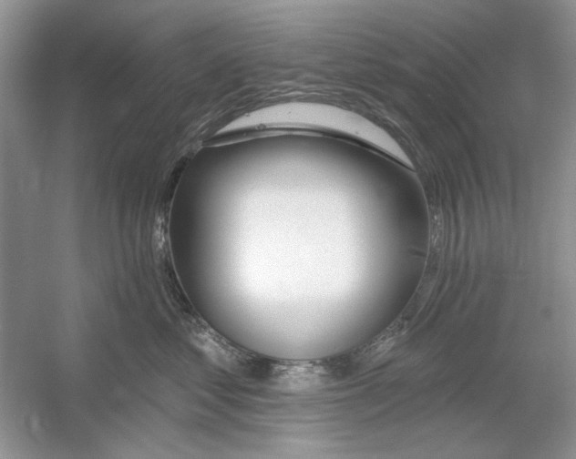 X0000053000621200508051136