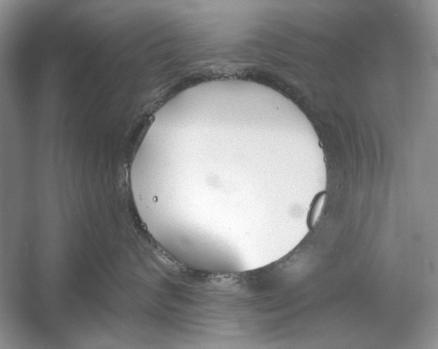 X0000053000624200508051136