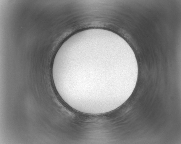 X0000053000625200508051135