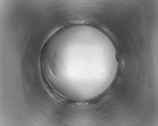 X0000053000626200508051135