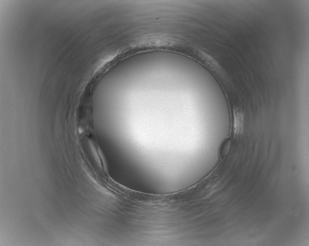 X0000053000627200508051135