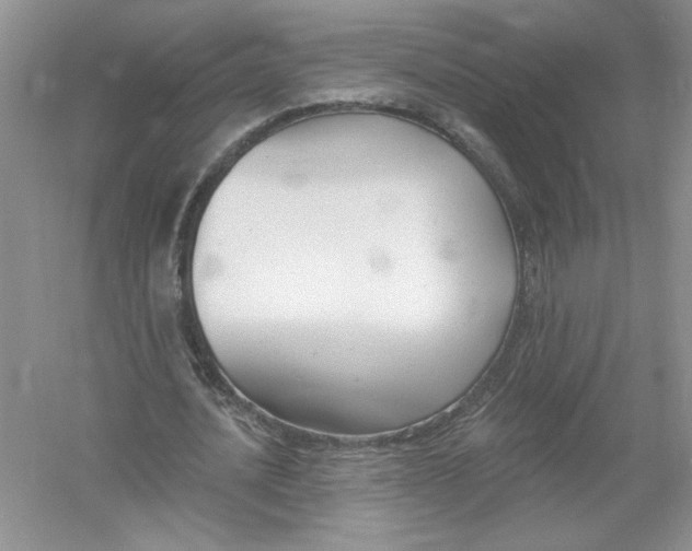 X0000053000628200508051135