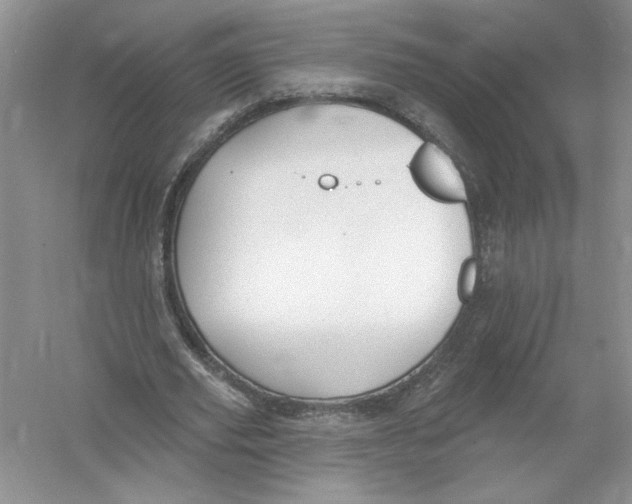 X0000053000629200508051135