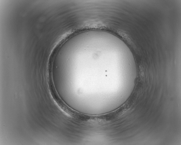 X0000053000630200508051135