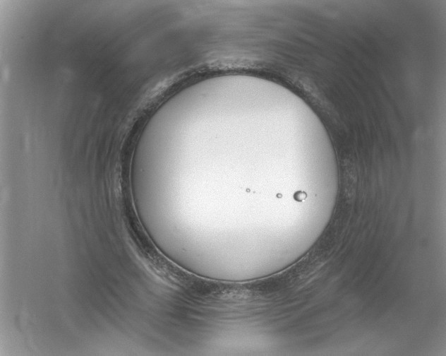 X0000053000631200508051135