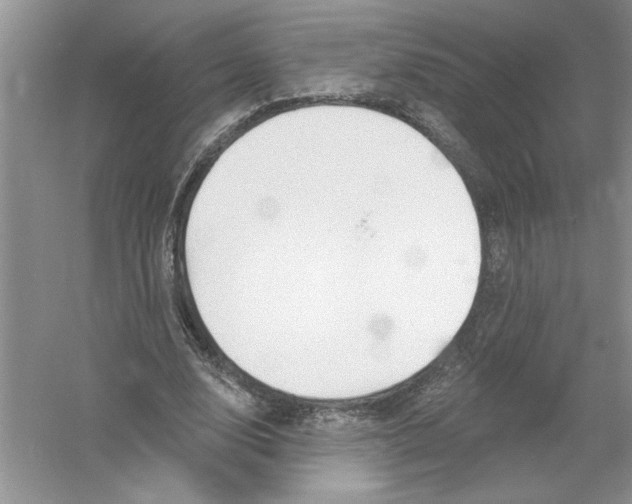 X0000053000632200508051135