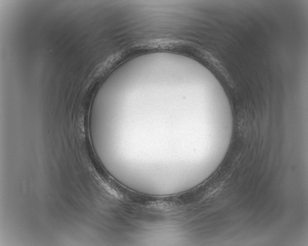 X0000053000633200508051135