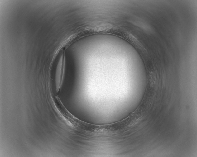 X0000053000634200508051135