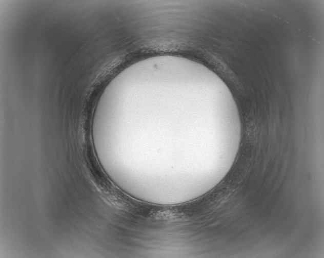 X0000053000635200508051135