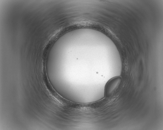 X0000053000637200508051135