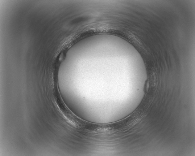 X0000053000638200508051135