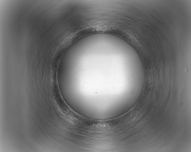 X0000053000639200508051135