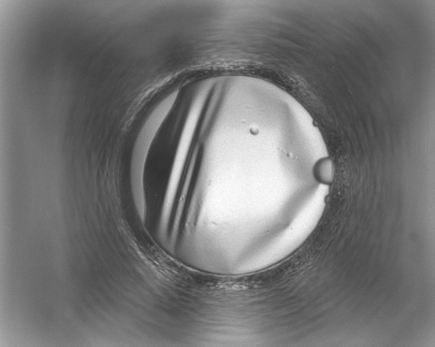 X0000053000640200508051135