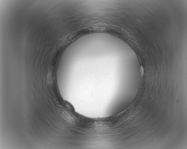 X0000053000641200508051135