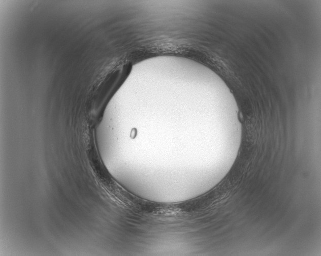 X0000053000642200508051135