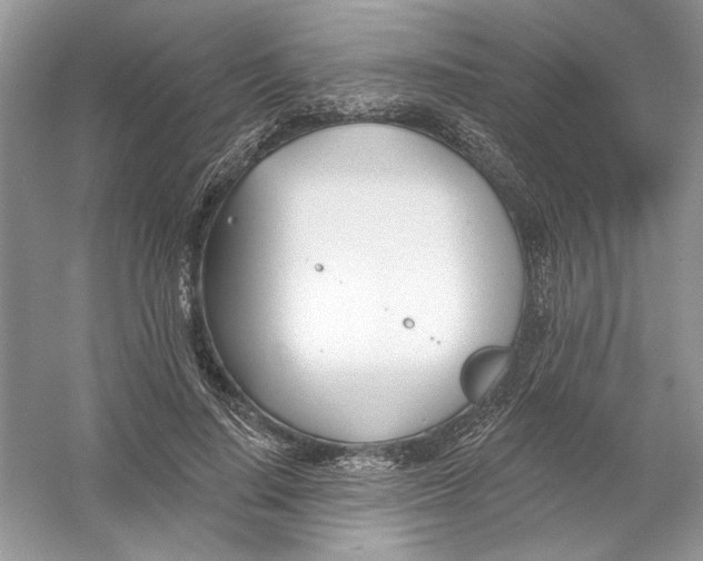 X0000053000644200508051135