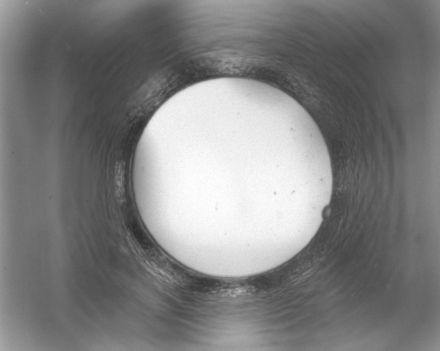 X0000053000646200508051135