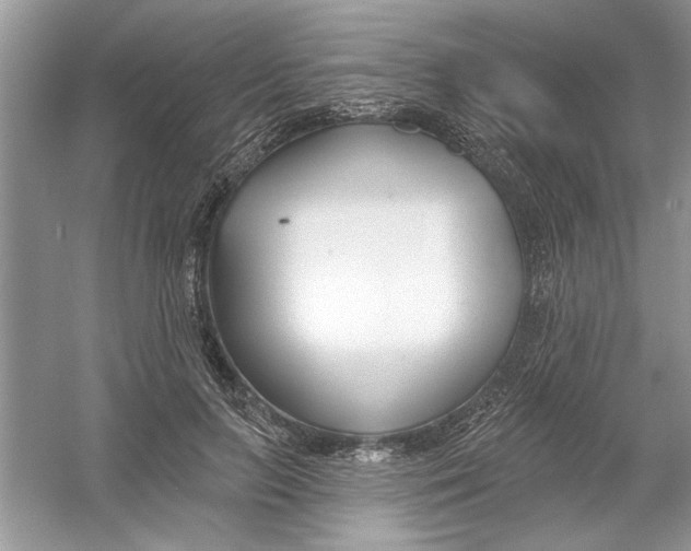 X0000053000647200508051135