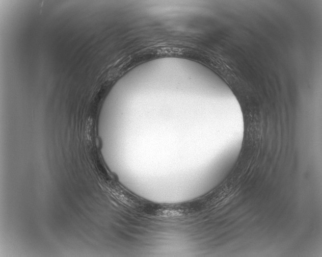 X0000053000649200508051135