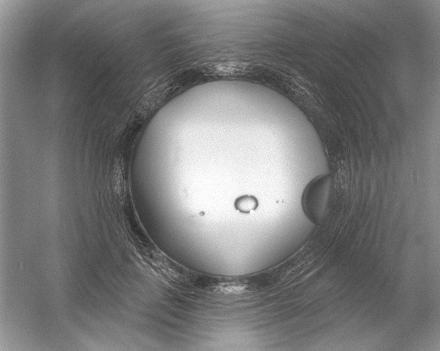 X0000053000651200508051135