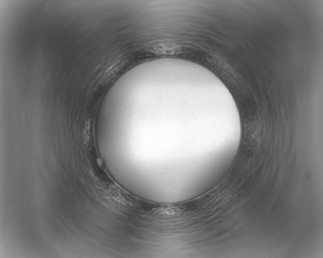 X0000053000652200508051135