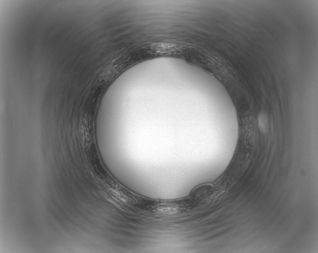 X0000053000653200508051135