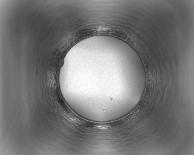 X0000053000654200508051135