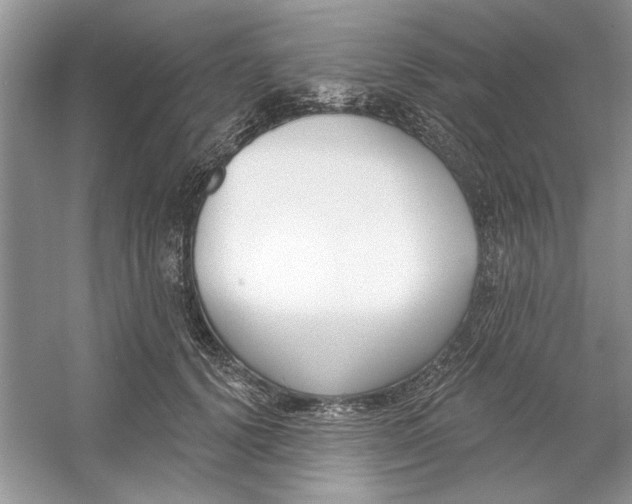 X0000053000656200508051135