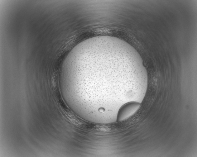 X0000053000658200508051135