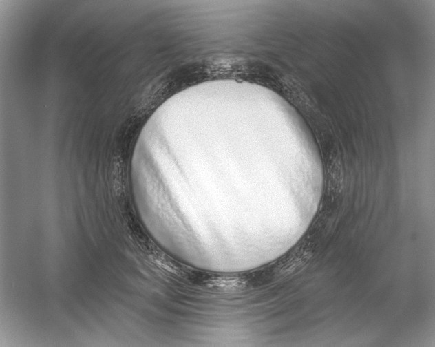 X0000053000659200508051135