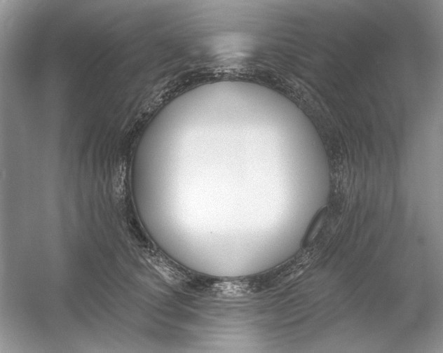 X0000053000660200508051135