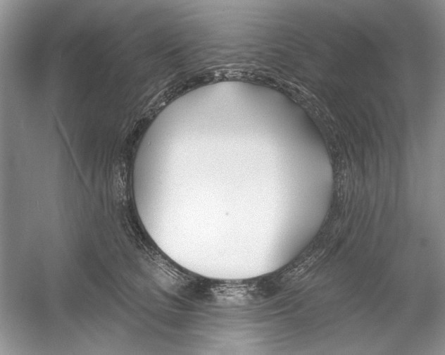 X0000053000661200508051135