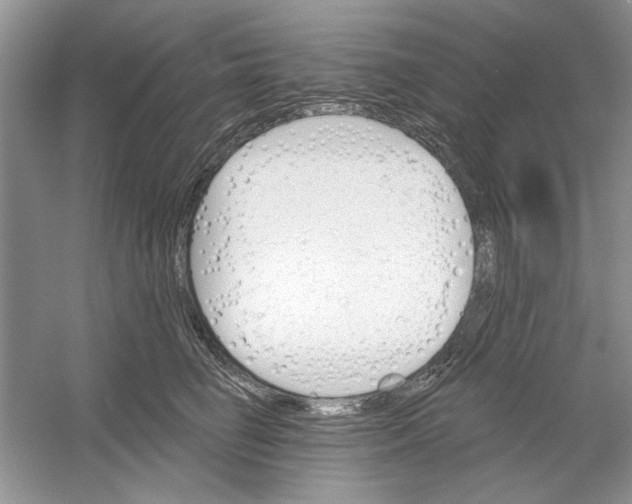 X0000053000662200508051135