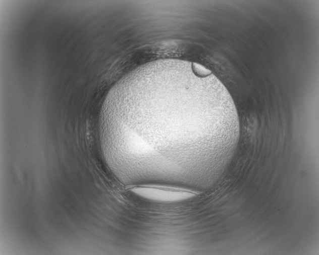 X0000053000663200508051135