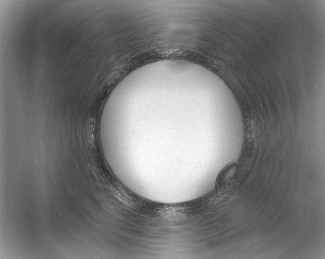 X0000053000664200508051135