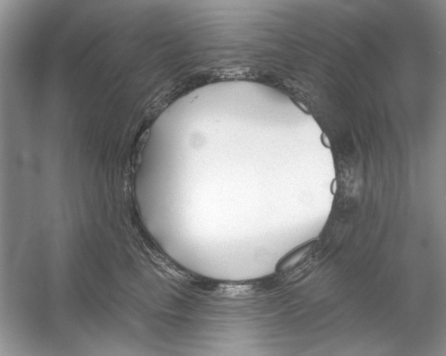 X0000053000665200508051135