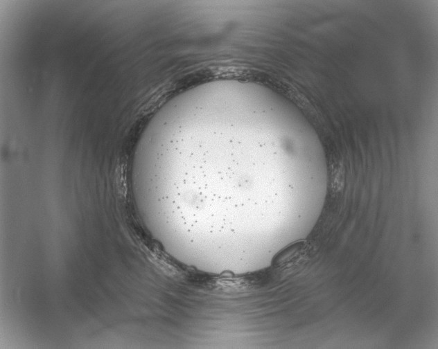 X0000053000666200508051135