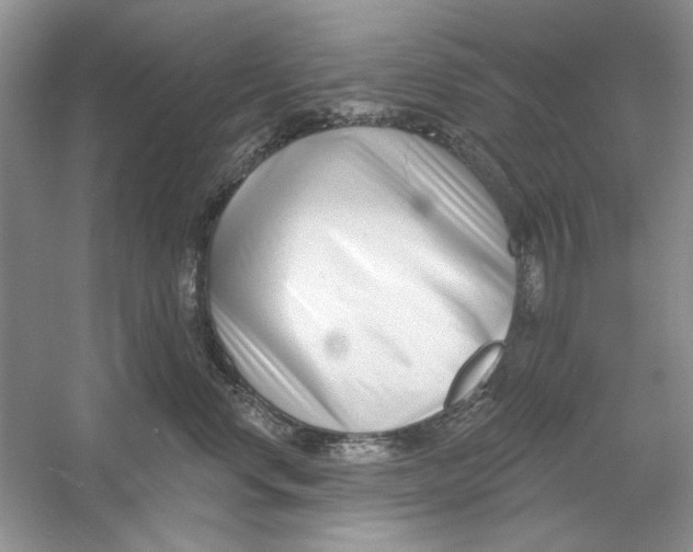 X0000053000668200508051136