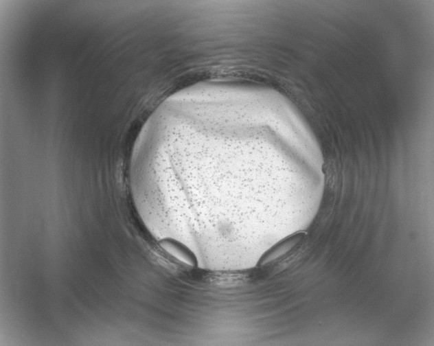 X0000053000670200508051136