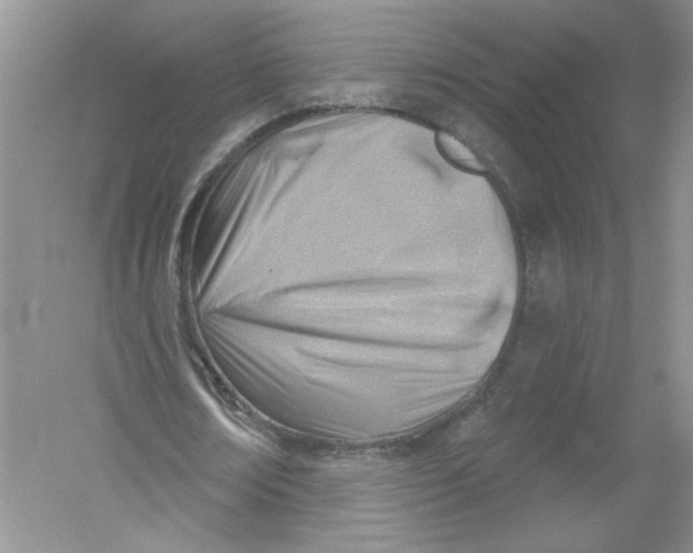 X0000053000674200508051135