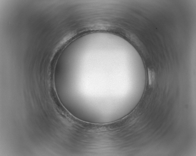 X0000053000675200508051135