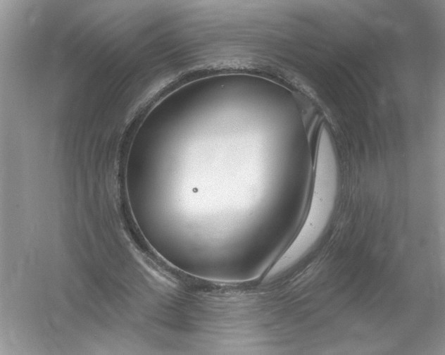 X0000053000677200508051135