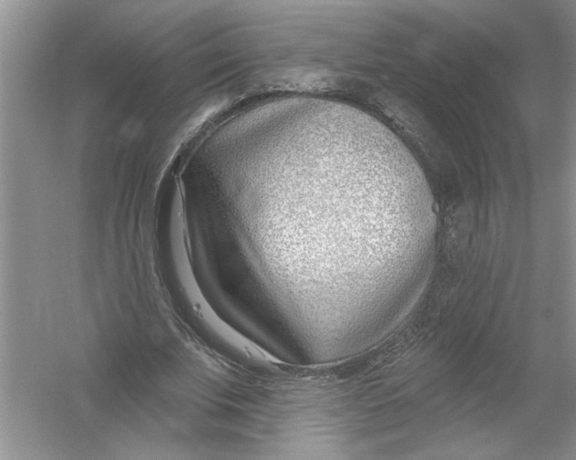 X0000053000679200508051135