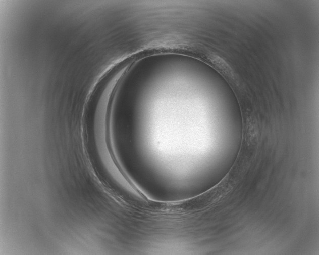 X0000053000680200508051135