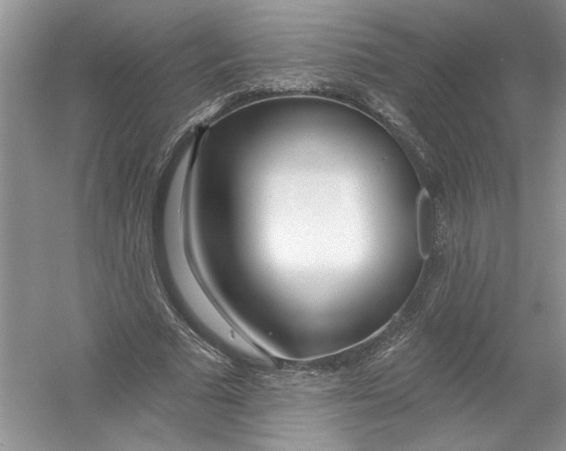 X0000053000681200508051135