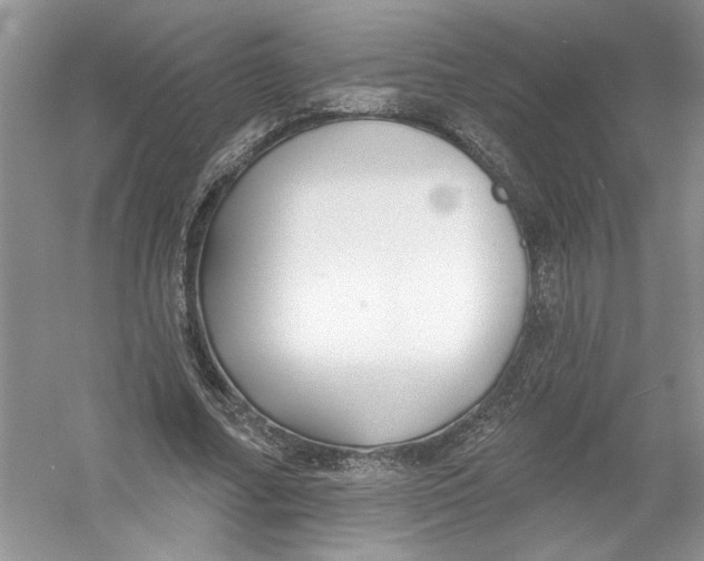 X0000053000682200508051135