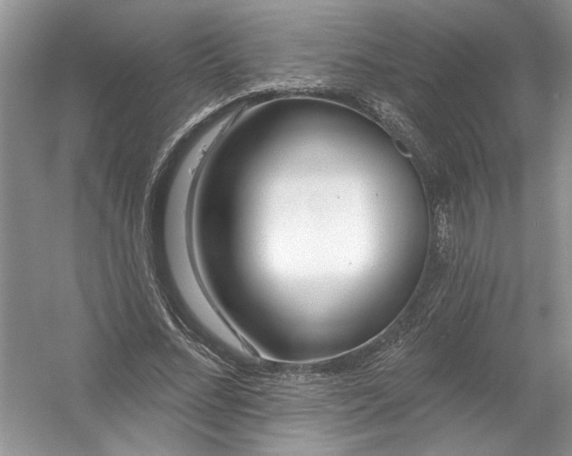 X0000053000684200508051135