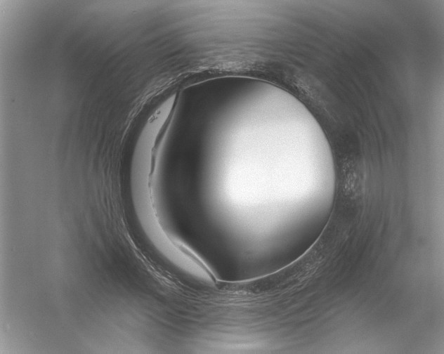 X0000053000685200508051135